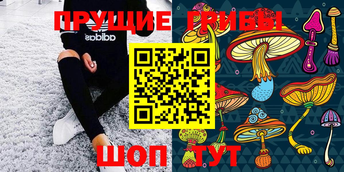 Белгород  Псилоцибиновые грибы MAGIC MUSHROOMS  Вход с VPN 